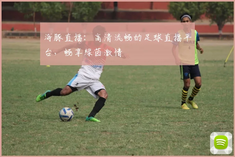 海豚直播：高清流畅的足球直播平台，畅享绿茵激情