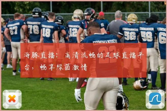 海豚直播：高清流畅的足球直播平台，畅享绿茵激情